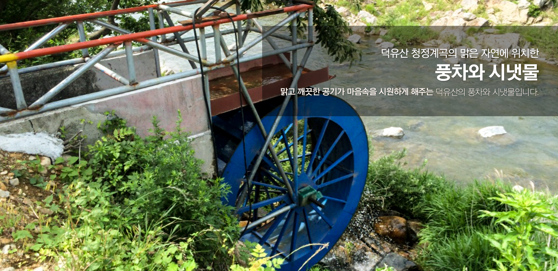 이미지명